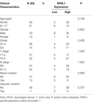 SPDL1 Overexpression Is Associated With the 18F-FDG PET/CT Metabolic Parameters, Prognosis, and Progression of Esophageal Cancer